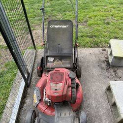 Lawnmower Briggs straton ( Non Running) 