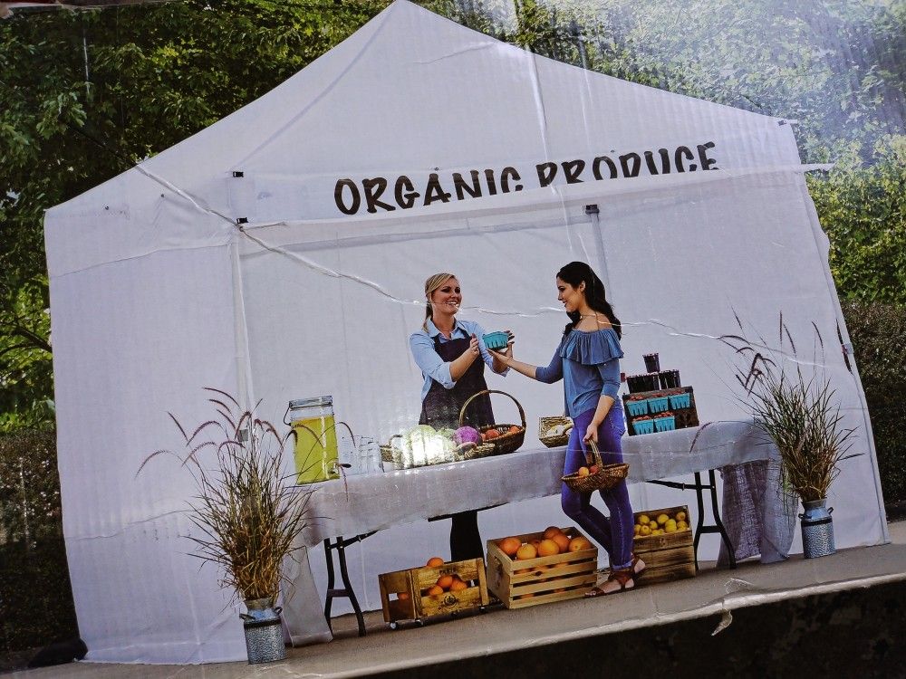 Canopy 10x10 Commercial Instant Folding Side Wall Tent Ozark