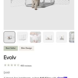 Diggs Crate Evolv - Intermediate 