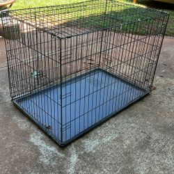 Dog Kennel