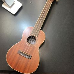 Acoustic Guitar Ukulele 