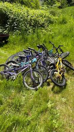 Kids bikes- must take all