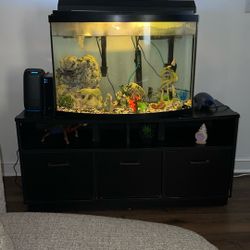 55 Gallon Tank