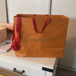 Louis Vuttion Bag