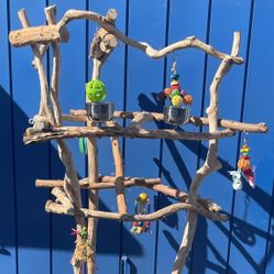 Large Parrot / Macaw Parrot Perch Tree - HUGE and Lots Of Gnarly Wood 🪵 