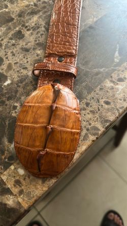Alligator originally belt
