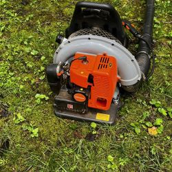 Leaf Blower 