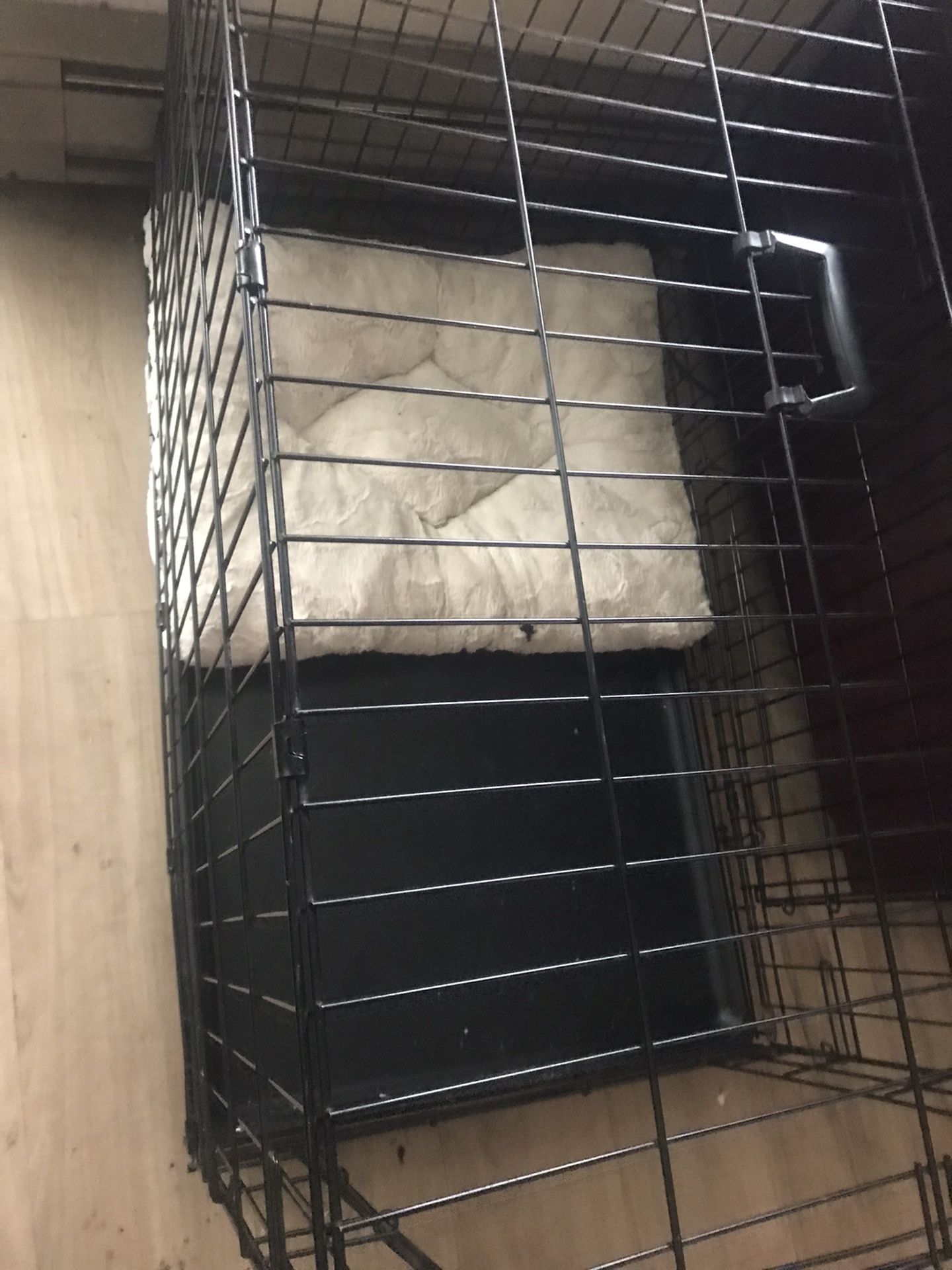 large kennel
