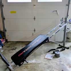 Total Gym (with 30lbs of weights and original manual!)