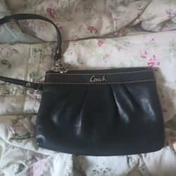 Coach Blank Purse