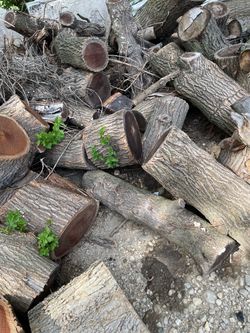 Free wood