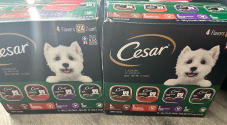 CESAR VARIETY DOG FOOD
