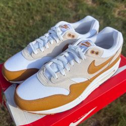Nike Air Max 1 Bronze Sz9 DS 2023
