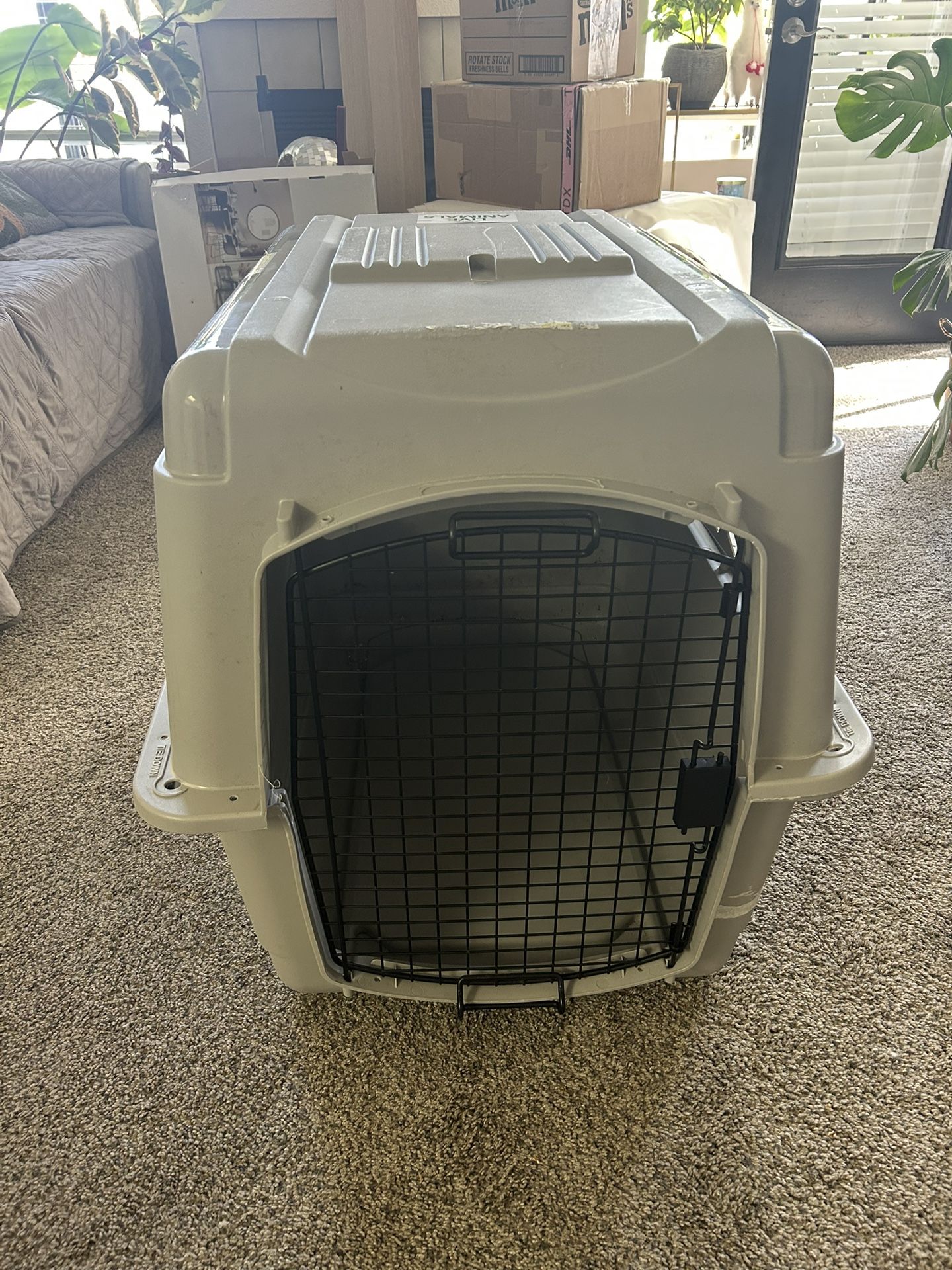 EveryYay Large Plastic Dog Kennel