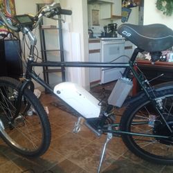 1000 WATT 52V ADULT ELECTRIC BICYCLE 