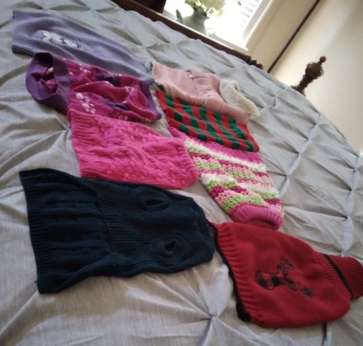 Pet Clothes 
