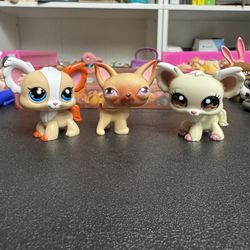 LPS Littlest Pet Shop Chihuahua Lot