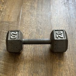 One 20lb Dumbbell