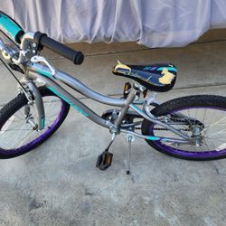 Girls Bike 20in 