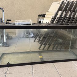 fish tank for free 55gallon