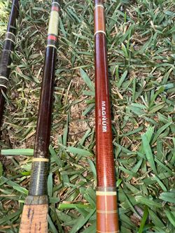 Saltwater Spinning Rods
