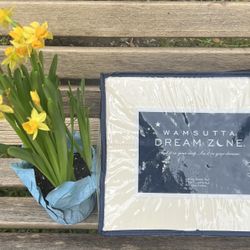 New Wamsutta Dream Zone 750 Thread Count 