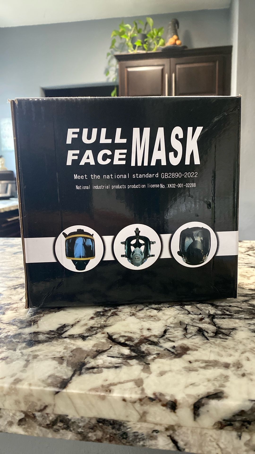 Gas Masks