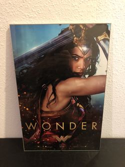 Wonder Woman picture 17” x 11”