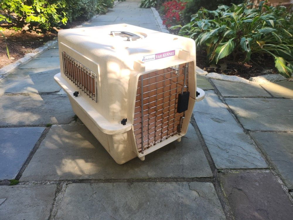 Dog Home 