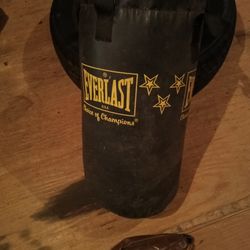 Heavy Bag Gloves Speed Bag