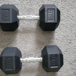 45lb Dumbell Weight For Workout 