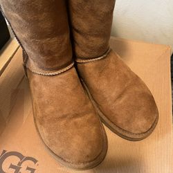 Classic Tall Women’s Chestnut Uggs