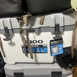 Igloo Cooler