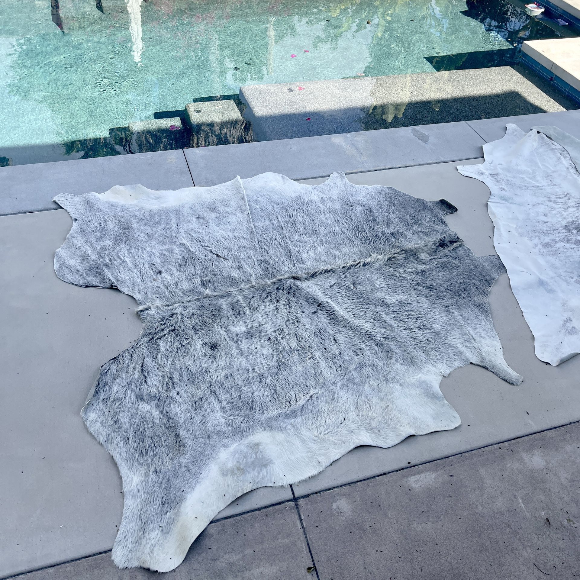 Still Available! The Citizenry XL Real Cowhide Rug (light color) HTF CB2 DWR Room and Board