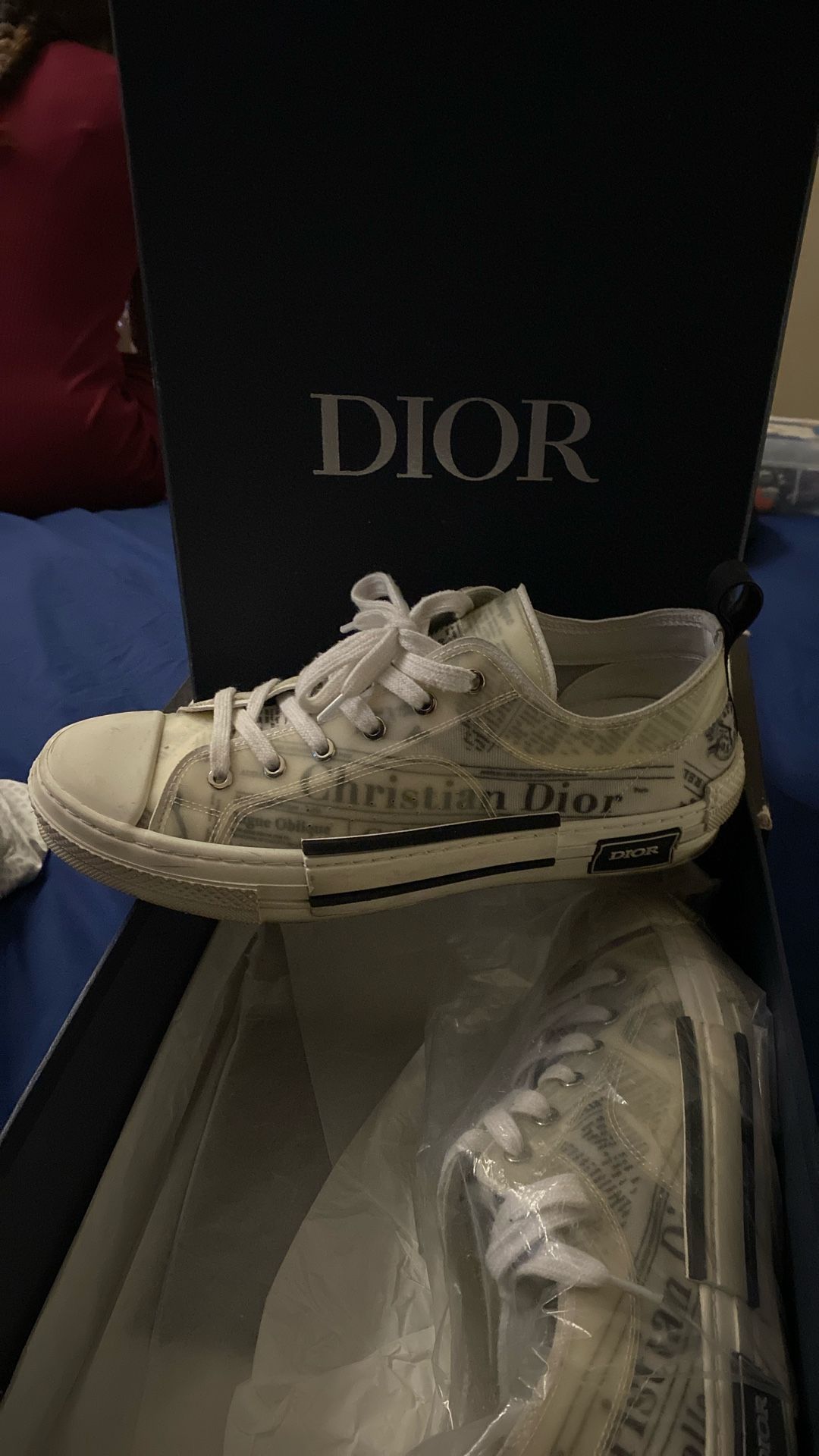 Dior Shoes 