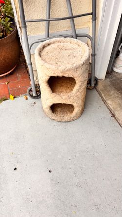 Cat hotel