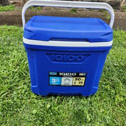 Igloo 30qt Cooler