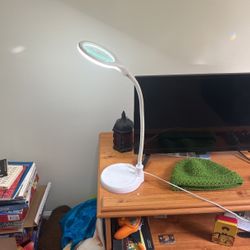 Magnifying Lamp