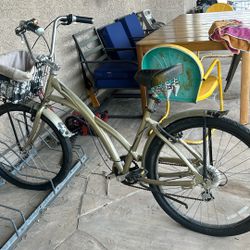 Beach Cruiser Bike 