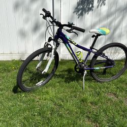 Cannondale 24 Bike