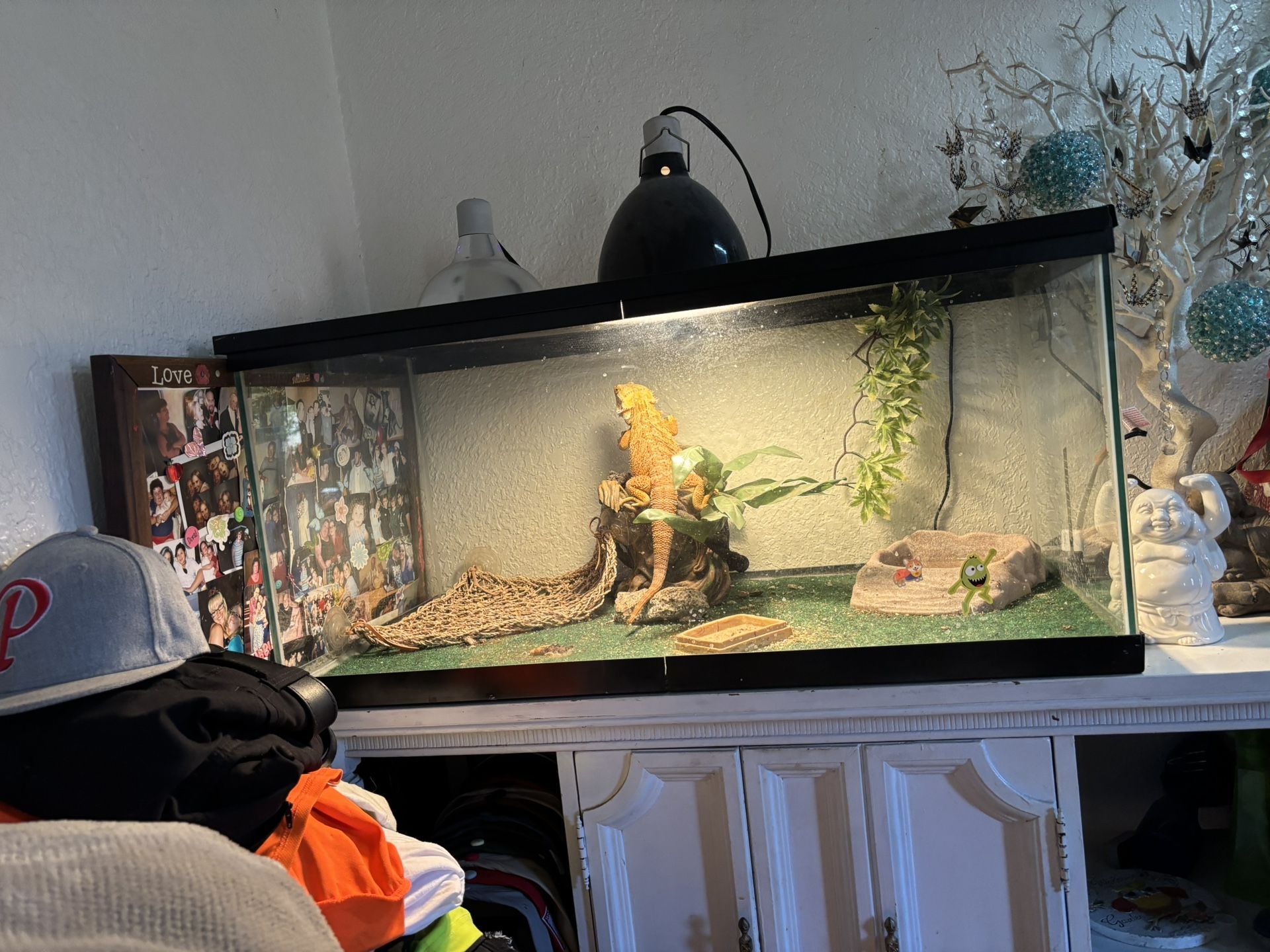 Terrarium 