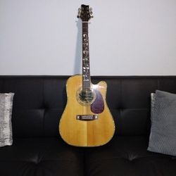 Telluride Guitar (Used)