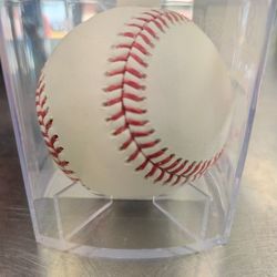 Rawlings 2017 World Series Baseball 