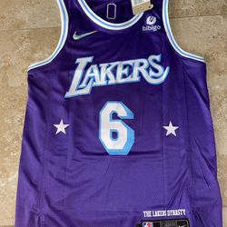 Los Angeles Lakers LeBron James Purple Jersey - City
