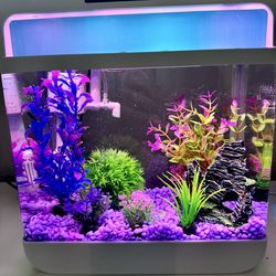 Small 2 gallon Fish Tank