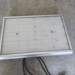 Led Grow Lights