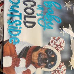 Bolsa De Regalo, Gift Bag