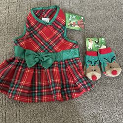 Dog Christmas Outfit 