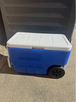 Coleman cooler
