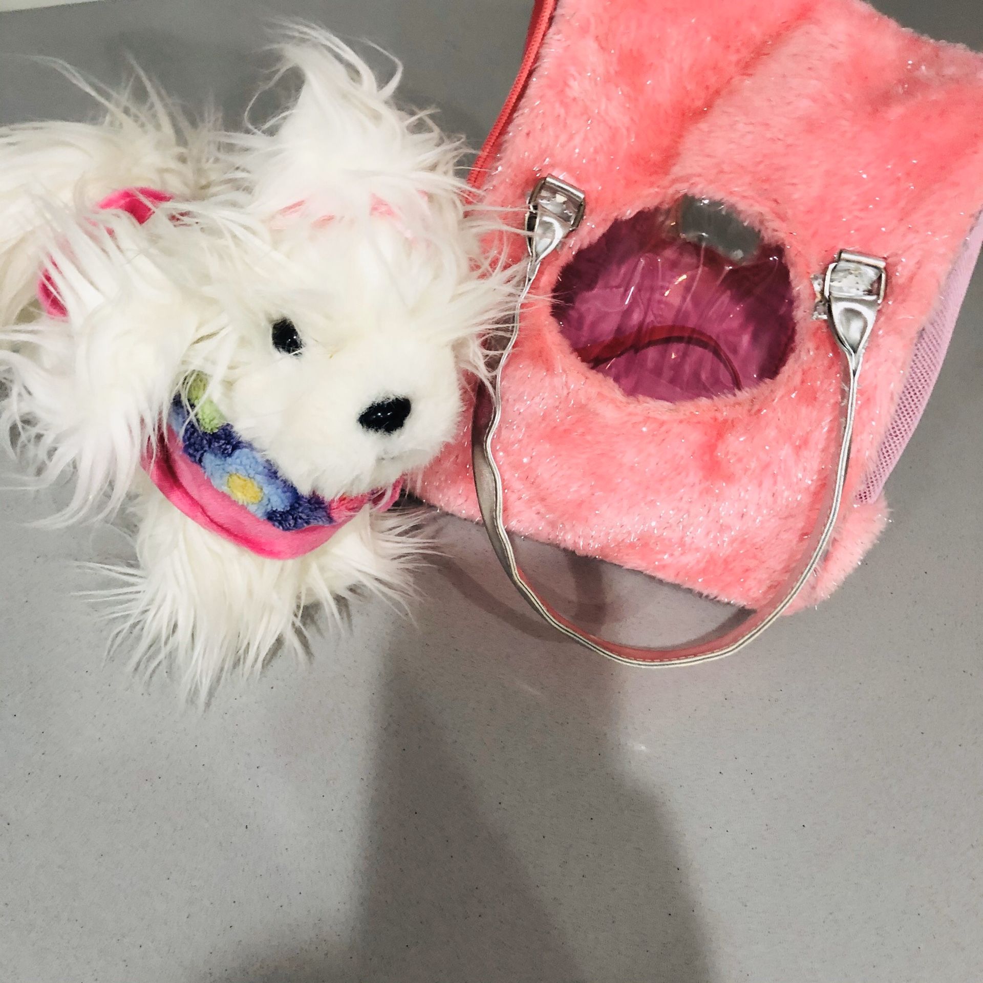 Dog toy and pink bag for dog